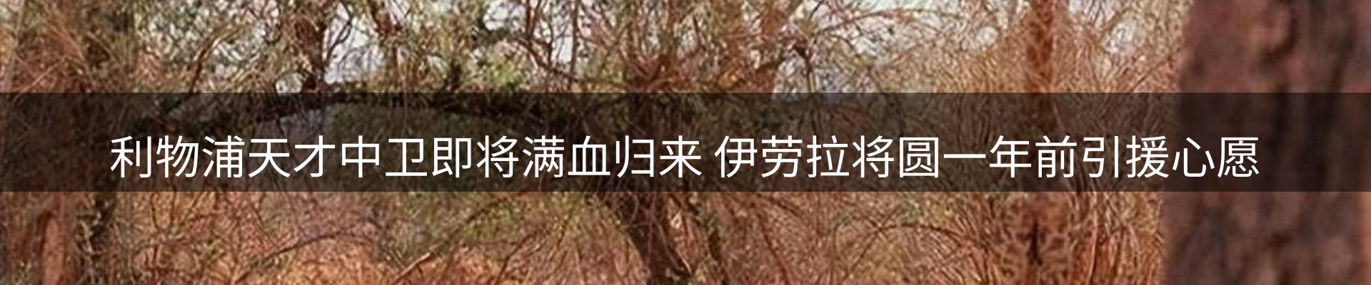 综合资讯